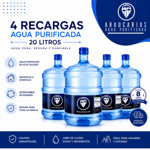 recarga de 4 bidones de agua purificada 20 litros libre de sodio santiago