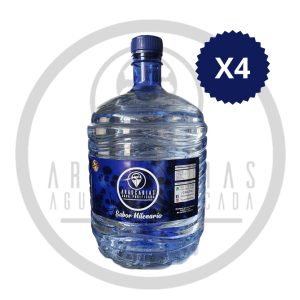 10 litros desechables