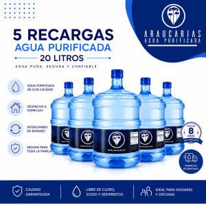 recarga de 5 bidones de agua purificada 20 litros libre de sodio santiago