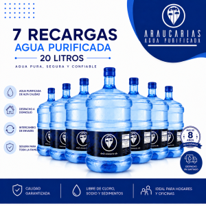 recarga de 7 bidones de agua purificada 20 litros libre de sodio santiago