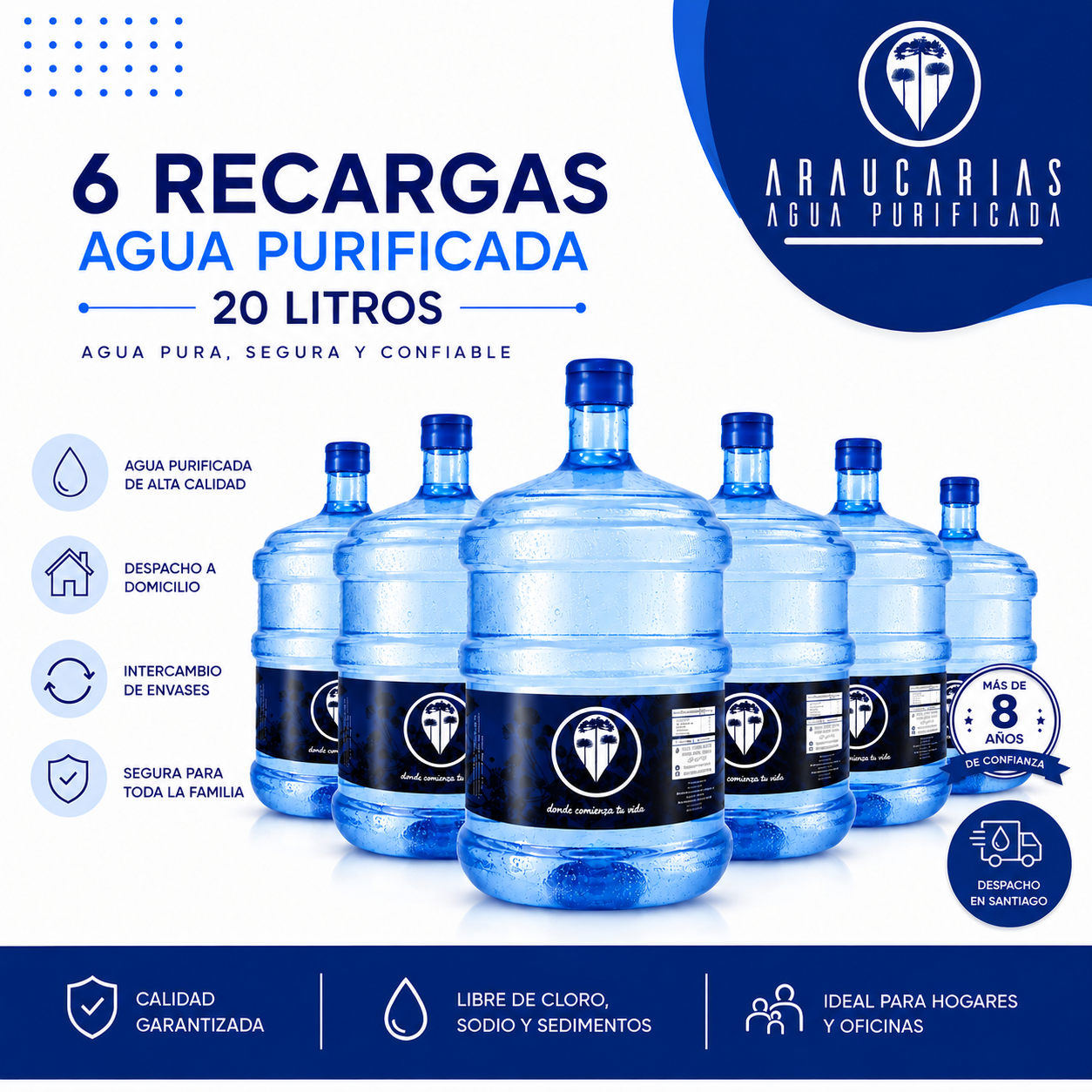 recarga de 6 bidones de agua purificada 20 litros libre de sodio santiago